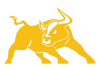 Bulls Software's Logo